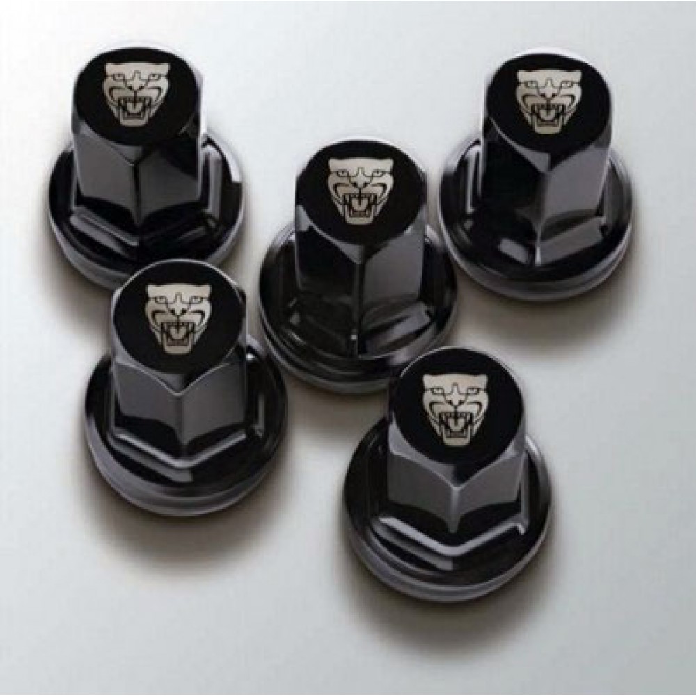 Колесные гайки jaguar xf. C2c35294010. Гайка колесная jaguar xj 300. Гайка колесная jaguar xe колесо. Колёсные гайки на jaguar x.